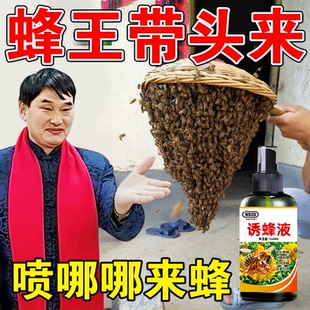 诱蜂液诱蜂膏神器野外用蜜蜂中蜂土蜂养蜂招蜂水引蜂王专用信息素
