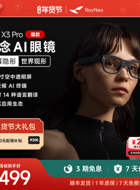 【限时首降500元】雷鸟RayNeo X3 Pro 概念AI眼镜真无线双目全彩显示光波导AR眼镜翻译眼镜便携XR眼镜