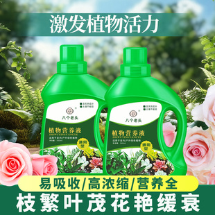 植物营养液通用型花卉绿植兰花发财树富贵竹盆栽水培绿萝花肥肥料