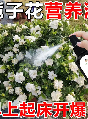 栀子花专用营养液促花开花预防黄叶家用养花高效花肥料免稀释喷雾