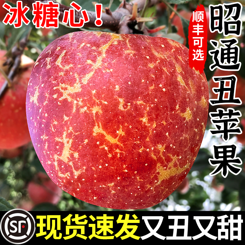 云南昭通丑苹果冰糖心苹果新鲜水果当季整箱脆甜红富士年货礼物,水产肉类/新鲜蔬果/熟食,苹果,淘宝优惠券,粉丝福利购,淘宝优惠卷
