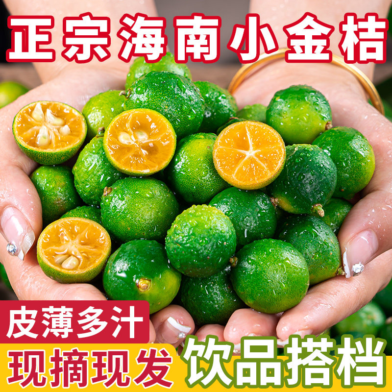 海南小金桔小青柠新鲜青柑青桔皮薄5斤当季水果青柠檬奶茶店专用