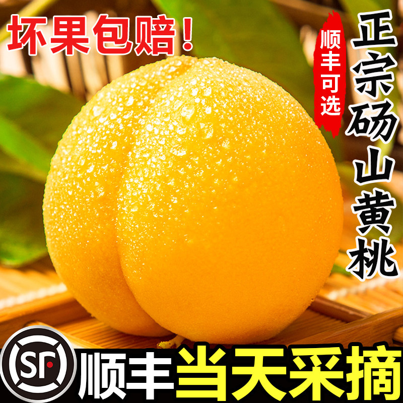 【官方推荐】正宗砀山黄桃