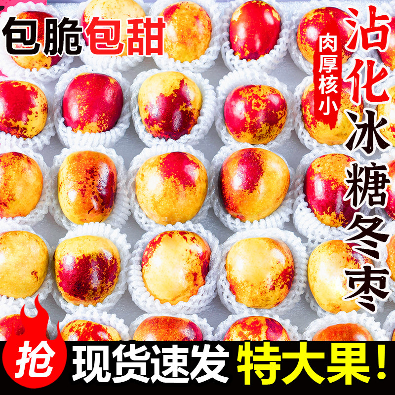 正宗沾化冬枣新鲜大枣水果枣子当季冰糖特大甜脆山东沾化红枣
