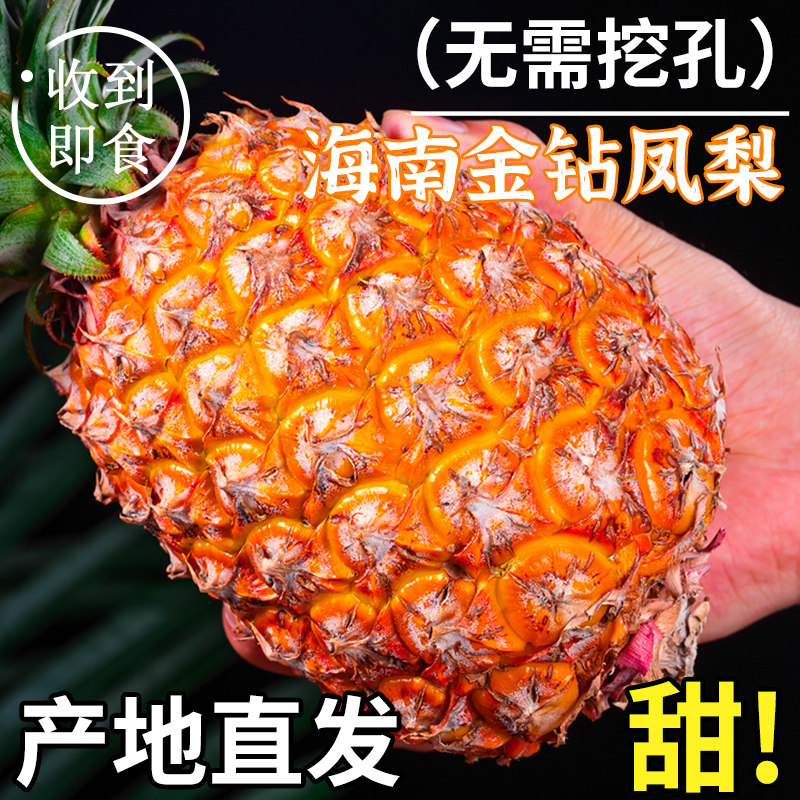 正宗海南金钻凤梨新鲜水果树上熟应当季整箱手撕凤梨非菠萝砖精选