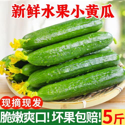 水果黄瓜新鲜生吃当季整箱