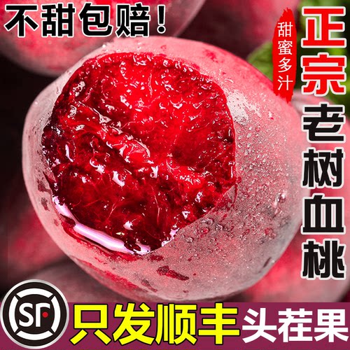 正宗老树血桃热销爆款