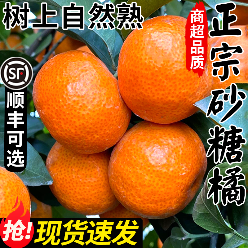 正宗广西砂糖橘新鲜水果当季现摘蜜桔金秋沙糖桔橘子贡柑整箱包邮,水产肉类/新鲜蔬果/熟食,桔子,淘宝优惠券,粉丝福利购,淘宝优惠卷