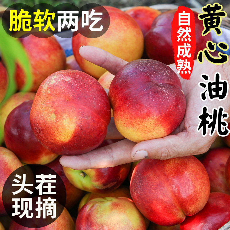 正宗黄心油桃5斤桃子新鲜水果现摘新鲜水密桃黄肉蜜桃子整箱包邮