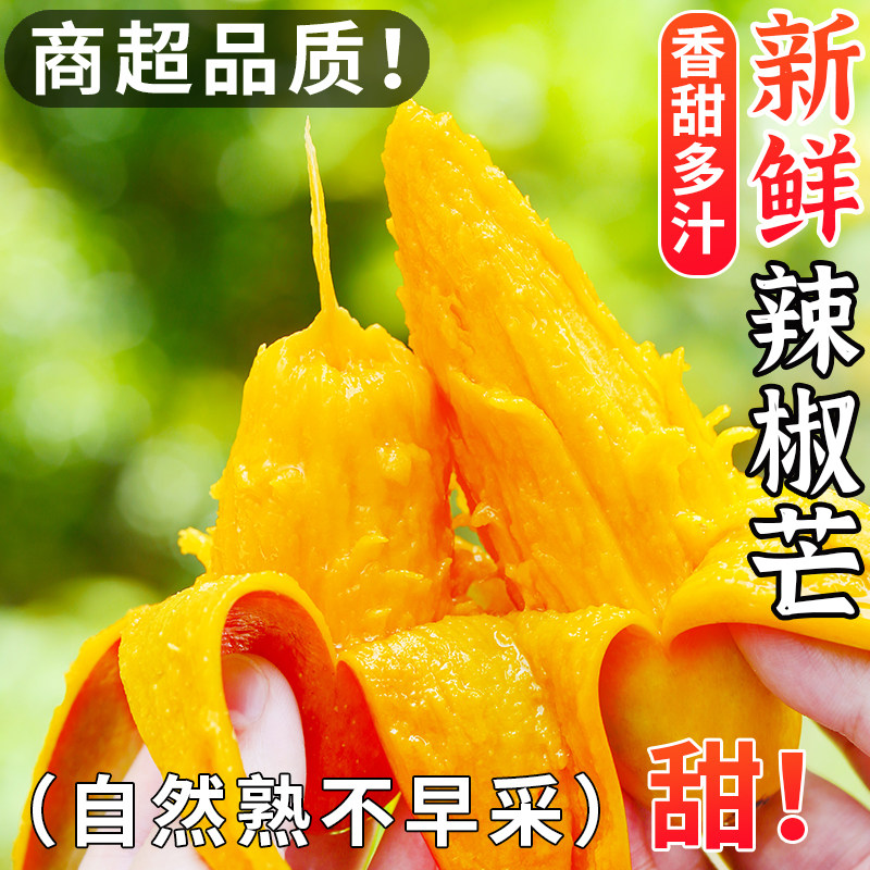 海南辣椒芒果新鲜水果当季整箱树上熟甜心小核贵妃芒台芒牙签芒