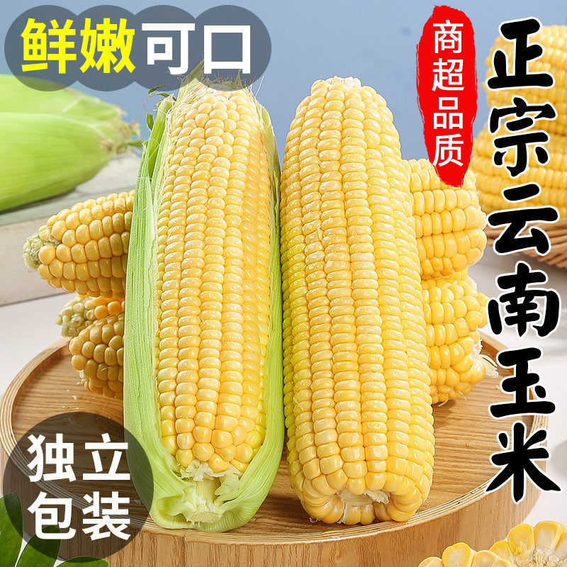 新鲜云南水果甜玉米新鲜金银水果玉米新鲜糯玉米现摘现发甜玉米