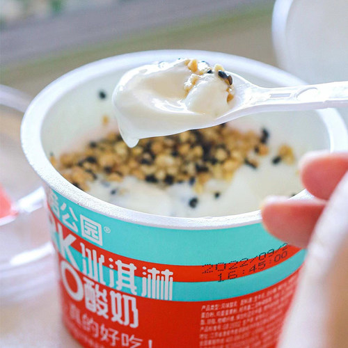 整箱正品优惠尼诺公园冰淇淋酸奶