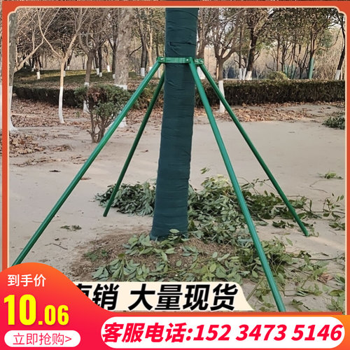 树木支撑架烤漆镀锌钢管园林绿化行道乔木支撑杆大树铁抱箍固定器