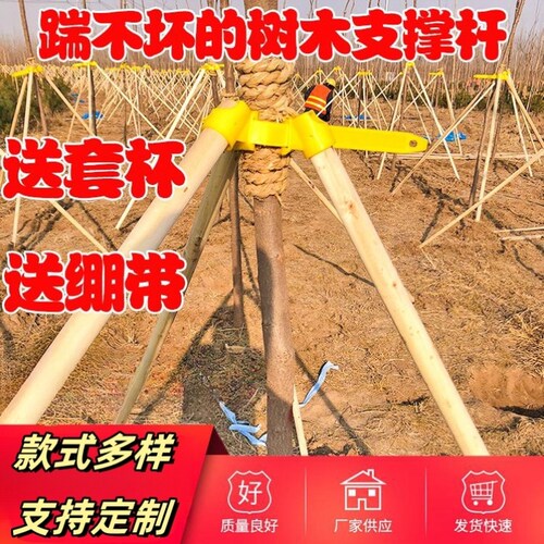 树木支撑固定器支撑架杆松木杉木杨木棍园林绿化防风工程稳定支架