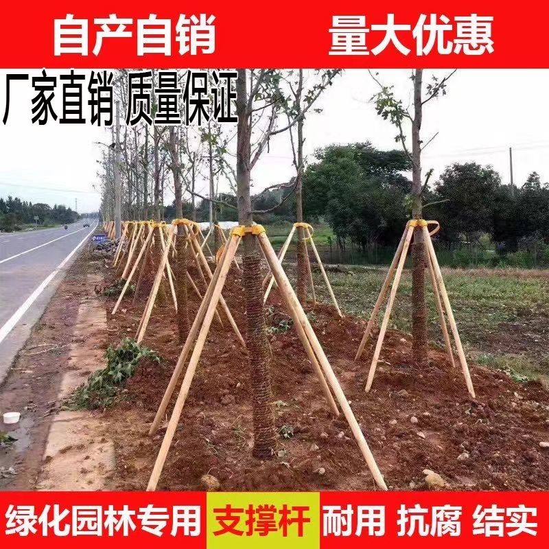 树木支撑固定器植树绿化道路支架苗木木棍工程园林学校大树防风架