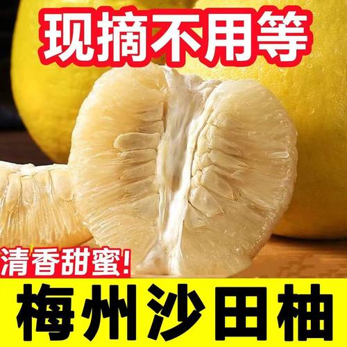 梅州沙田柚子正宗新鲜水果广东梅县金柚特产包邮沙甜冰糖非容县