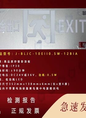 中科知创青鸟消防应急灯疏散指示标志集中电源型灯具十个起包邮