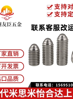 不锈钢加长型轻载型球头柱塞 BSML3/4/5/6/8/10/12 BMSL系列