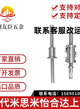 滚珠丝杆丝杠ZFT SFT DFT LPFT LPFT LSFT 6310 6320 6340 6350