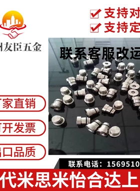 直线导轨用定位销LLT3.5 LLT5 LLTS5偏心销ICE11-T5不锈钢LLTA5