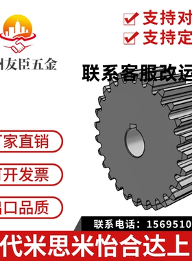 齿轮GEAKB2.0-40-20-30N 链轮SP40B21-N-30 链轮SP40B20-N-30 同