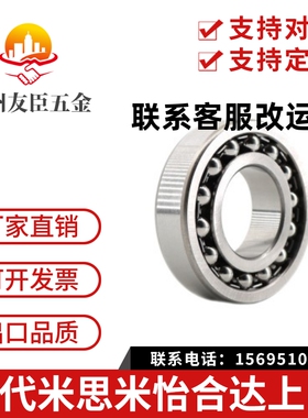 调心球轴承 BBT1204/1205/1206/1207/1209/1308/1309/2308AKTN