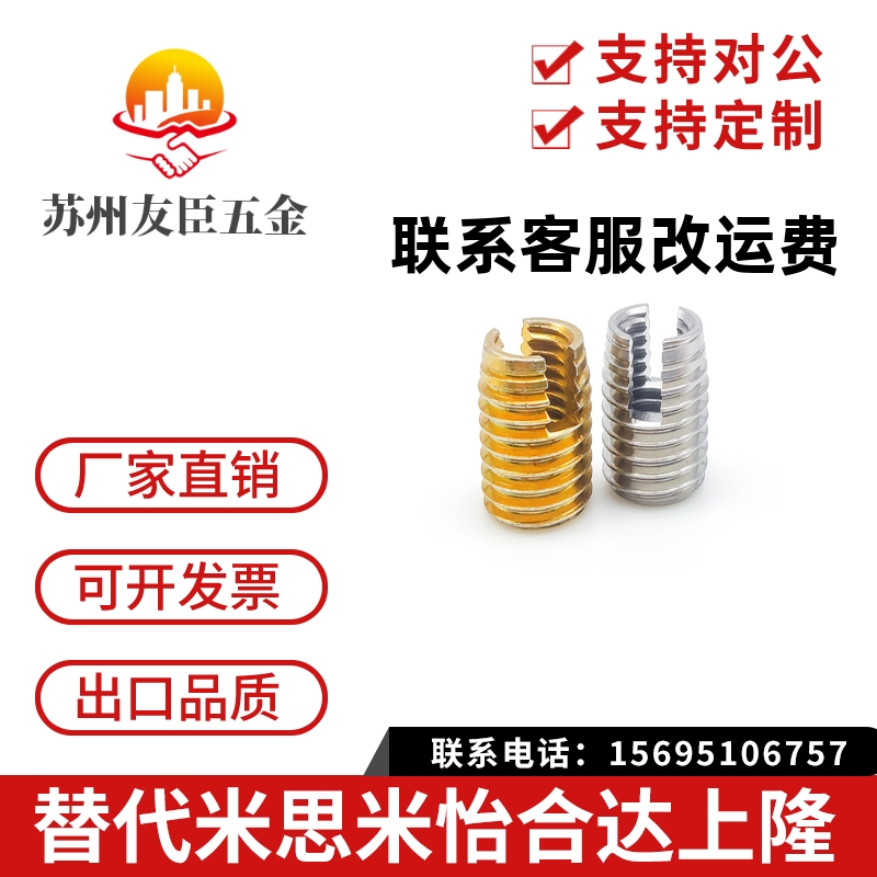 BLM61 BLM71-M3/M4/M5/M6/M8/M10/M12 螺纹套 自攻开槽型