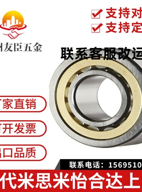 怡合达型 N207EM N309EM N310EM 圆柱滚子轴承 外圈无挡边