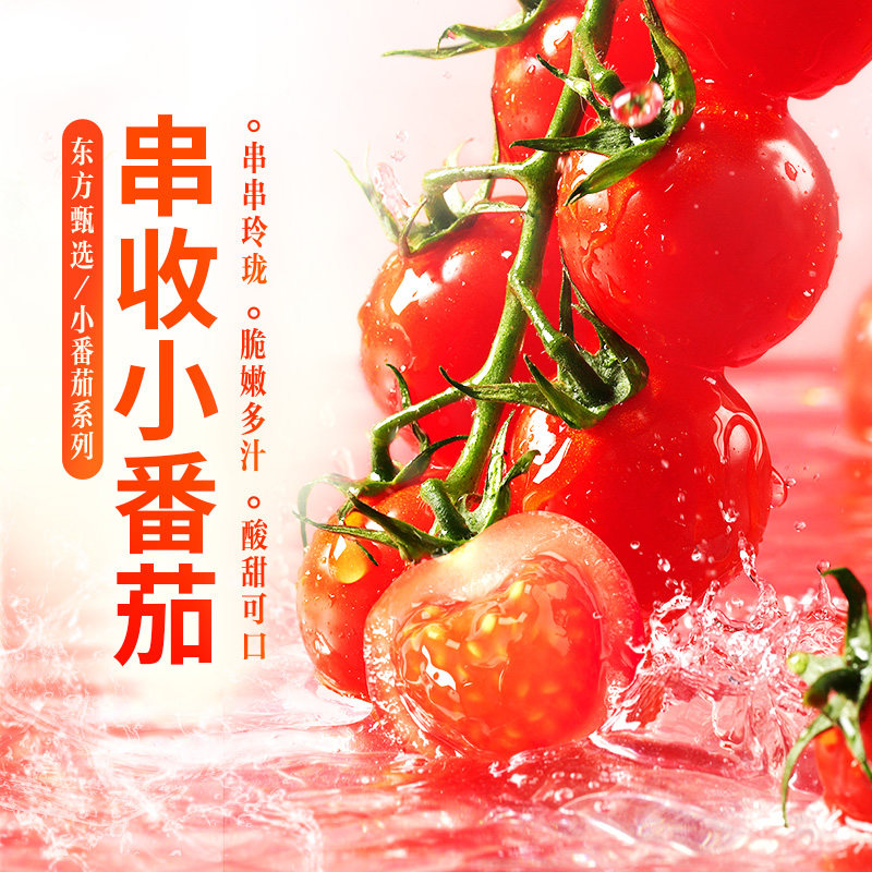 东方甄选串收小番茄当季新鲜蔬菜西红柿应季时令生鲜农产品2斤装,水产肉类/新鲜蔬果/熟食,番茄,淘宝优惠券,粉丝福利购,淘宝优惠卷