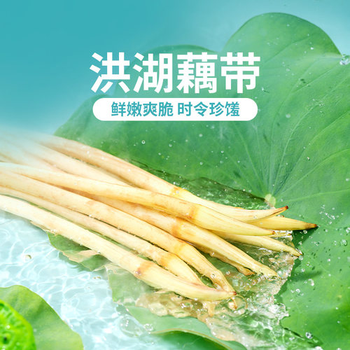 东方甄选洪湖藕带藕尖1斤/2斤装