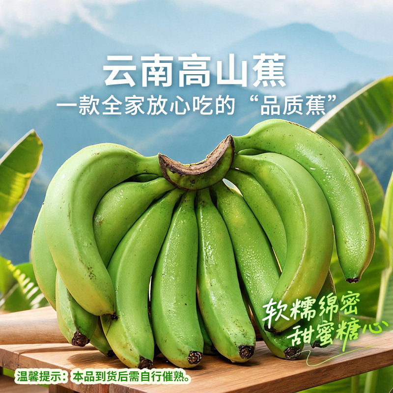 东方甄选云南高山蕉香蕉当季新鲜水果时令生鲜农产品顺丰3斤/5斤
