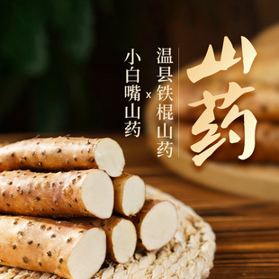 东方甄选小白嘴山药 新鲜时令蔬菜 温县铁棍山药当季