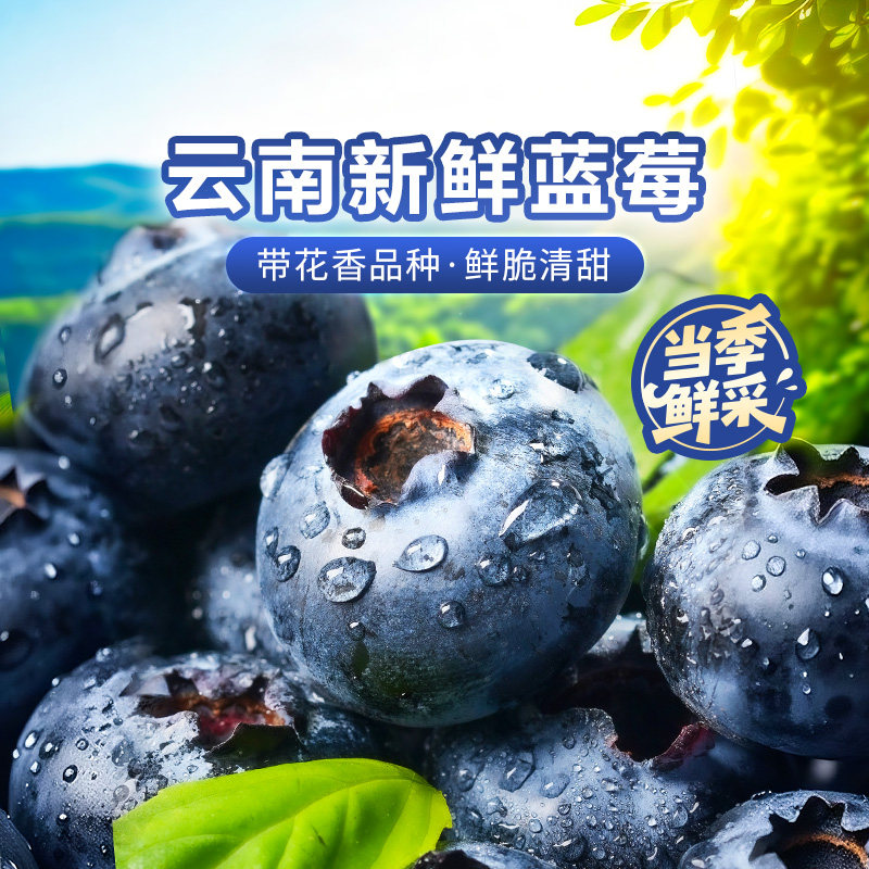 东方甄选云南蓝莓新鲜水果当季整箱时令生鲜生日礼物过年年货,水产肉类/新鲜蔬果/熟食,蓝莓,淘宝优惠券,粉丝福利购,淘宝优惠卷