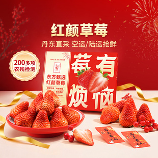 东方甄选红颜草莓产自丹东新鲜水果当季生鲜生日礼物顺丰过年年货