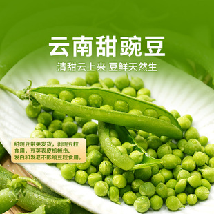 东方甄选云南甜豌豆新鲜当季 蔬菜时令生鲜青豆炒饭沙拉配菜顺丰