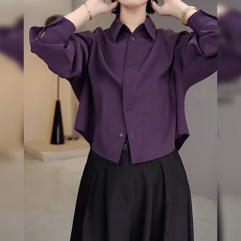 紫色气质长袖上衣女款早春新款