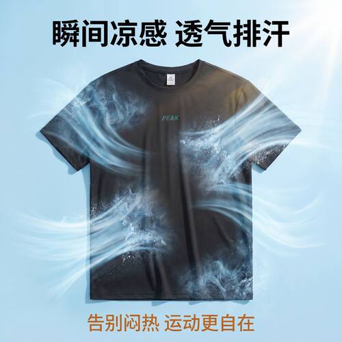 匹克凉感短袖夏季T恤男运动上衣男士logo圆领短袖跑步训练健身短T