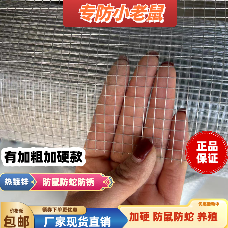 热镀锌电焊防鼠防猫养鸟护栏网