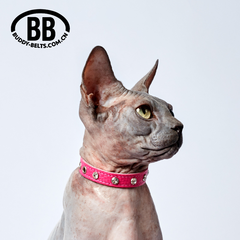 bb奢华系列真皮宠物项圈