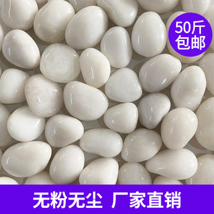 白色天然鹅卵石批装饰发原石鱼缸雨花石头园林铺地花园造景白石子