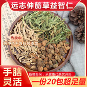 远志益智仁伸筋草组合手脑灵活远离痴茶呆调理代茶饮泡水喝中药材