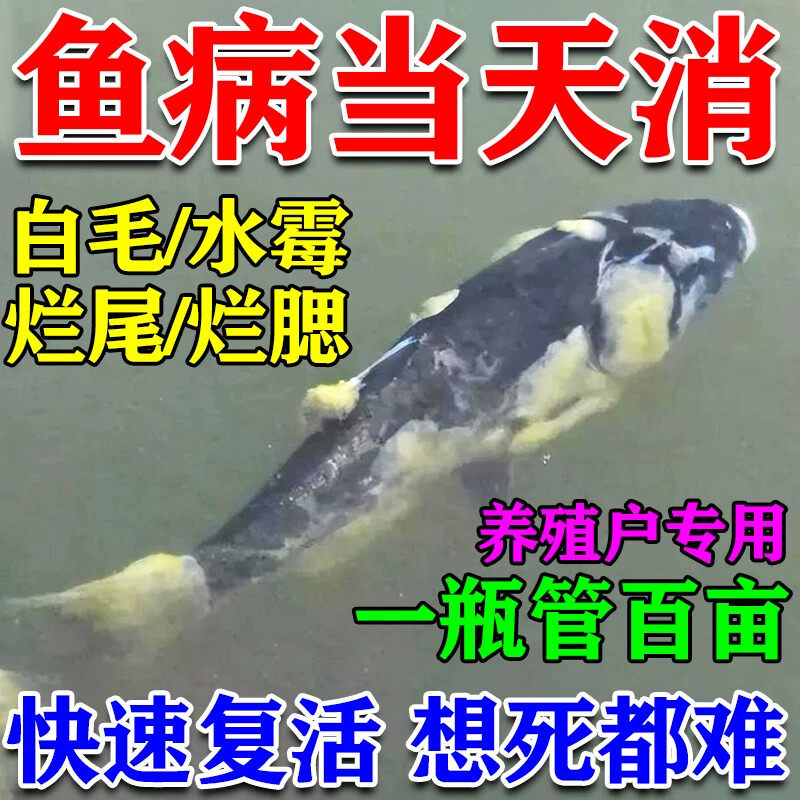 鱼药一塘清急救亚甲基蓝鱼药烂身烂尾白点净水霉病鱼池消毒杀菌药
