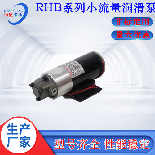 便携式RHB-2.5JZ 1.6 4JZ RHB-3.15JZ打头机小流量润滑泵电机装置
