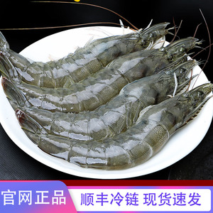 北海湾厄瓜多尔盐冻大虾青虾鲜活速冻南美虾特大海鲜水产3040规格