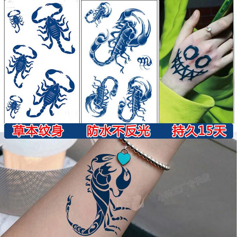 纹身贴防水持久一年仿真男本草半永久水果汁草本永久情侣一对蝎子