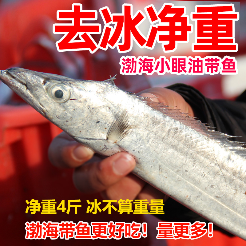 新鲜渤海带鱼4斤整条小眼油带鱼