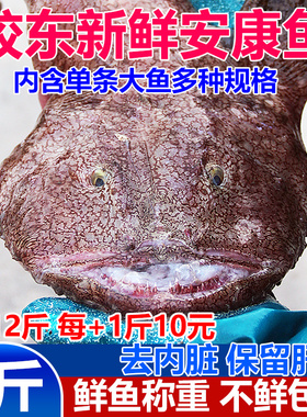 新鲜安康鱼5斤蛤蟆鱼魔鬼鱼深海鱼大嘴鱼带鱼肝鱼肚海鲜水产