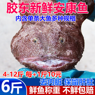 新鲜安康鱼5斤蛤蟆鱼魔鬼鱼深海鱼大嘴鱼带鱼肝鱼肚海鲜水产