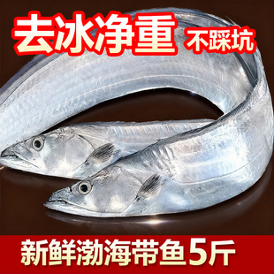 新鲜特级渤海大带鱼4斤黄东海刀鱼整条油带鱼段海鲜水产山东