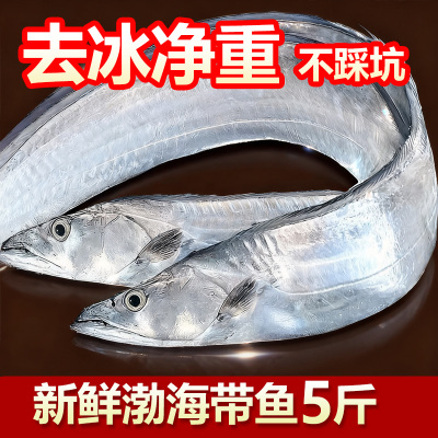 新鲜渤海带鱼4斤4-6两/条